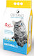 Olysand Natural Bentonite Cat Litter 10kg