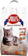 Best Price Best Price Cat Litter 5kg
