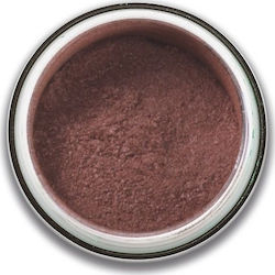 Stargazer Eyedust Fard De Pleoape Pulbere Cu Cu...