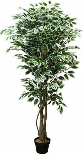 Künstliche Pflanze im Topf Benjamin Grün 150cm Marhome