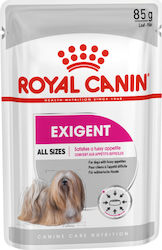 Royal Canin Exigent 6x85gr