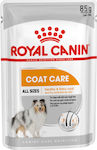 Royal Canin Coat Care Влажна Храна за Кучета в Чантичка 6x85гр