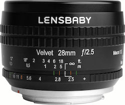 Lensbaby Velvet 28mm f/2.5 Lensbaby Velvet 28mm f/2.5