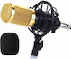 Andowl Condenser (Large Diaphragm) XLR Microphone 7451 Shock Mounted/Clip On Mounting Voice