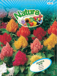 Natura Seeds