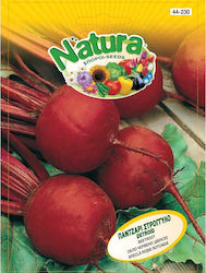 Planty ΕΠΕ Seeds Beetroot