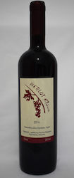 Klonas Winery Κρασί Merlot Ερυθρό Ξηρό 750ml