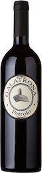Petrolo Galatrona Rot Trocken 750ml