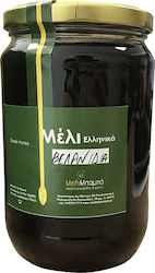 MeliMpampa Μέλι Βελανιδιάς 920gr