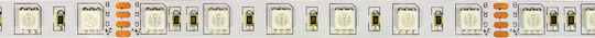 VK Lighting Ταινία LED 24V RGB Φως 5m Τύπου SMD5050