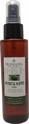 MeliMpampa Ανθόνερο Μέντα 100ml MeliMpampa Ανθόνερο Μέντα 100ml