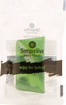 Sempreviva Olive Soap Soap Bar 120gr