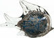 Zaros Decorative Fish made of Glass 14x5.5x10.5cm 1pcs