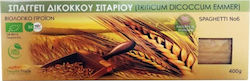 HealthTrade Spaghetti No 6 Δίκκοκου Σταριού No6 Ολικής Άλεσης Βιολογικά 400gr HealthTrade Spaghetti No 6 Δίκκοκου Σταριού No6 Ολικής Άλεσης Βιολογικά 400gr