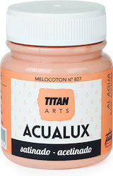 Titan Acualux Satin Vopsea acrilică Portocaliu ...