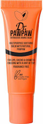 Dr. Pawpaw Liquid Ρουζ Outrageous Orange Balm
