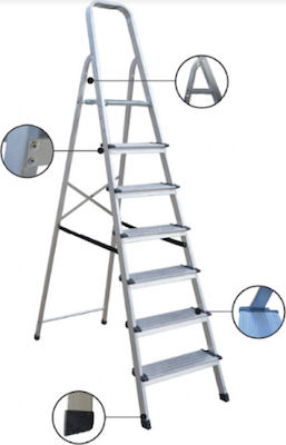 Profal Ladder Aluminum with 4+1 Steps 174pcs