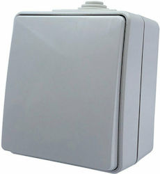 Aca External Electrical Lighting Wall Switch with Frame Basic Waterproof Gray