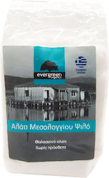Evergreen Organics Messolonghi Fine Fine Sea Salt 500gr