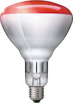 Philips Infrared Clear R125 Infrared Lamp 250W for Socket E27 923212043801