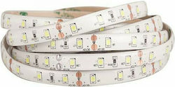 Eurolamp Bandă LED Alimentare 24V cu Lumină Alb Rece Lungime 5m și 60 LED-uri pe Metru SMD2835