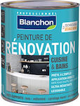 Blanchon Renovation Plastic Vopsea pentru Utilizare Intern Grey Linen 500ml