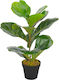 vidaXL Künstliche Pflanze in Blumentopf Ficus Lyrata Grün 45cm 1Stück