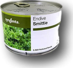 Syngenta Smittie Seeds Endive (Cichorium) 5000pcs