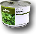 Syngenta Smittie Σπόροι Αντίδι 5000τμχ