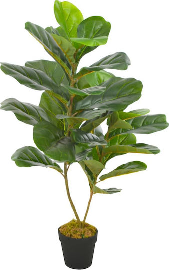 Ficus in Topfpflanze vidaXL