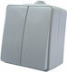 Aca Waterproof External Wall Switch Lighting Two-Way with Frame Gray