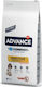 Advance Sensitive Medium/Maxi 12kg Ξηρά Τροφή χωρίς Γλουτένη για Ενήλικους Σκύλους Μεσαίων Φυλών με Ρύζι και Σολομό