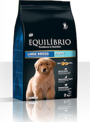 Equilibrio Puppy Large 2kg Trockenfutter für Welpen großer Rassen mit Huhn und Reis