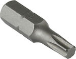 Cuie TORX WITTE 25mm T8 TORX T8 TORX