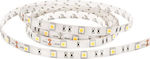 Eurolamp Ταινία LED Τροφοδοσίας 12V με Φυσικό Λευκό Φως Μήκους 5m και 60 LED ανά Μέτρο Τύπου SMD5050