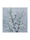 Marhome Gemälde Ölgemälde auf Leinwand 80x80cm