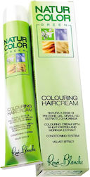 Renee Blanche Natur Green Color 6n Dark Blonde Renee Blanche Natur Green Color 6n Dark Blonde