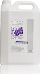 Kyana Salon Professional Blackcurrant 5000ml