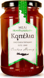 Papadakis Family Honey Pine & Thyme The kids Pine Thyme 950gr