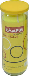 Campus Beach Rackets Balls Tennis Balls Set of 3 Pieces in a Can