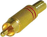 RCA male Connector 1pc