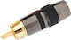 Lz RCA male (LZ511G/B)