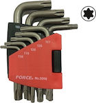 Force Set mit 9 Torx-Schlüsseln