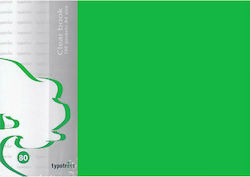Typotrust Ντοσιέ Σουπλ με 80 Διαφάνειες για Χαρτί A4 Πράσινο