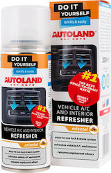 Autoland Spray zur Reinigung der Klimaanlage 200ml