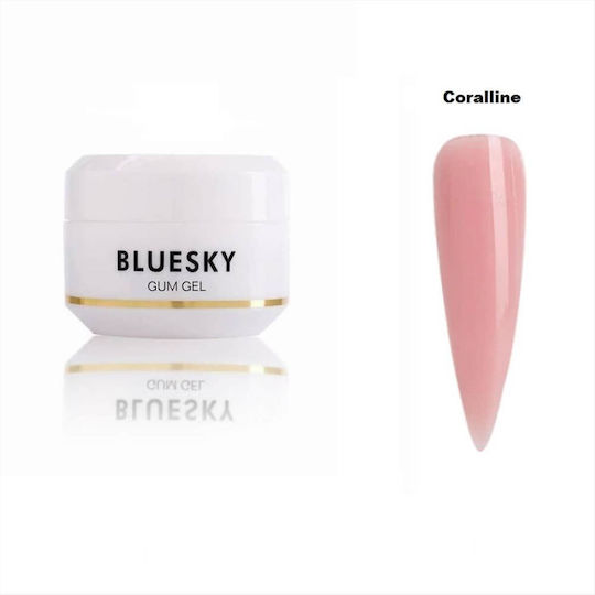 Bluesky Gum Acrygel Νυχιών PINK 35gr