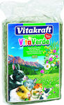 Vitakraft Gras für Meerschweinchen / Hase / Eichhörnchen / Hamster Vita Verde Meadow Hay 1kg 350613