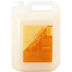 Dafnis Creole Professional Sampon De Par 4000ml
