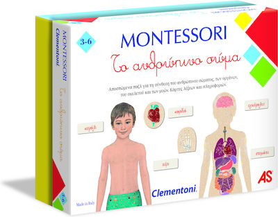 AS Το Ανθρώπινο Σώμα Montessori Educational Toy Knowledge for 3-6 Years Old