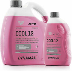Dynamax Ultra Cool 12 Ready for Use Engine Coolant for Car G12 -37°C Pink 4lt 502577 Dynamax Ultra Cool 12 Ready for Use Engine Coolant for Car G12 -37°C Pink 4lt 502577